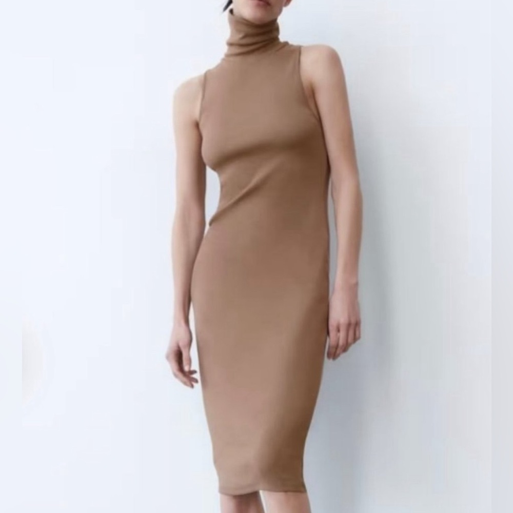 Zara Midi Turtleneck Dress
